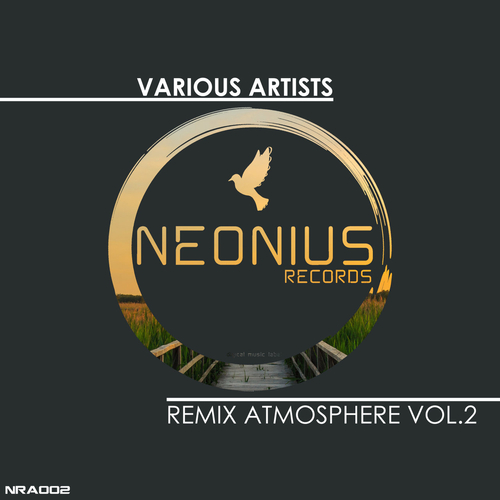 VA - Remix Atmosphere, Vol. 2 [NRA002]